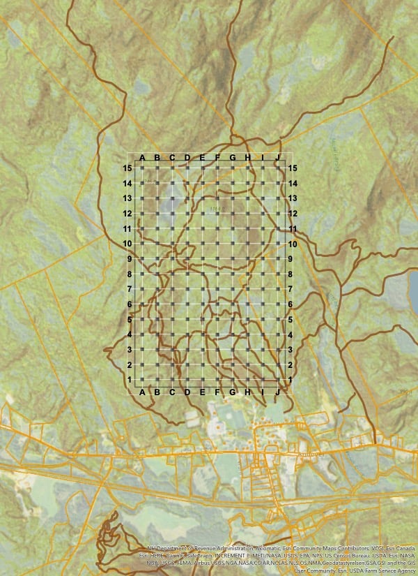 The Journey Proctor's Woodlands and the Learning Edge